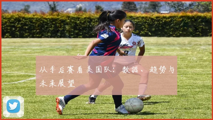 从季后赛看美国队：数据、趋势与未来展望